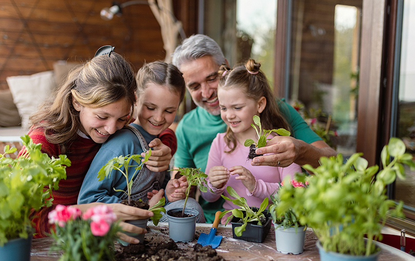 confira nosso guia para montar uma horta em casa - Confira nosso guia para montar uma horta em casa de forma fácil