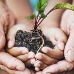 Conheça os tipos de fogão e dicas para escolher o ideal sete dicas para tornar a sua empresa mais sustentavel 150x150 - Conheça os tipos de fogão e dicas para escolher o ideal