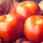 descubra conosco os alimentos da safra de dezembro para voce aproveitar 150x150 - Confira nosso guia de receitas f&aacute;ceis para quem mora sozinho