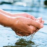 Supergasbras é Eleita Uma das 50 Empresas Mais Amadas dia mundial da agua conheca a historia e a sua importancia 150x150 - Supergasbras é Eleita Uma das 50 Empresas Mais Amadas
