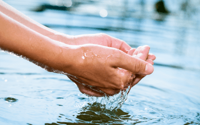 dia mundial da agua conheca a historia e a sua importancia 400x250 - In&iacute;cio